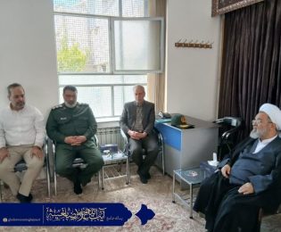 بررسی و چگونگی فعالیت شبکه ی اینترنتی سربداران