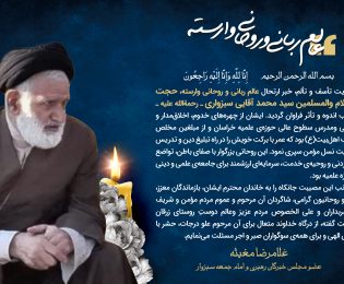 پیام تسلیت به مناسبت درگذشت حجت الاسلام و المسلمین سید محمد آقایی سبزواری